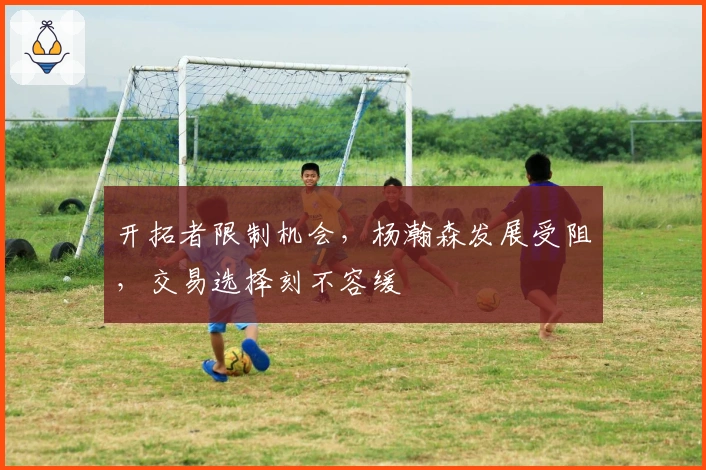 开拓者限制机会，杨瀚森发展受阻，交易选择刻不容缓